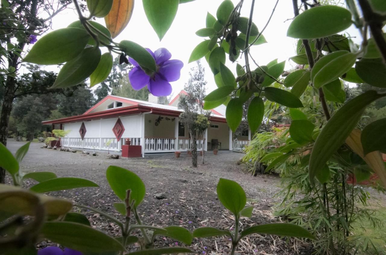 Lokahi Lodge Volcano Exteriér fotografie